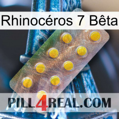Rhinocéros 7 Bêta new11